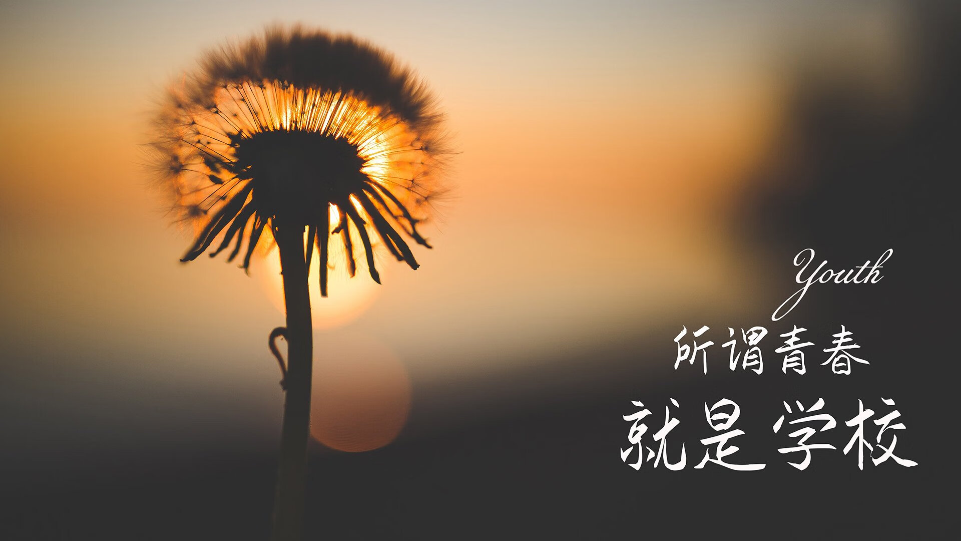 kaiyun中国官方网站-中国足球国际培训基地项目启动，打造专业人才输出平台，中国足协足球训练中心