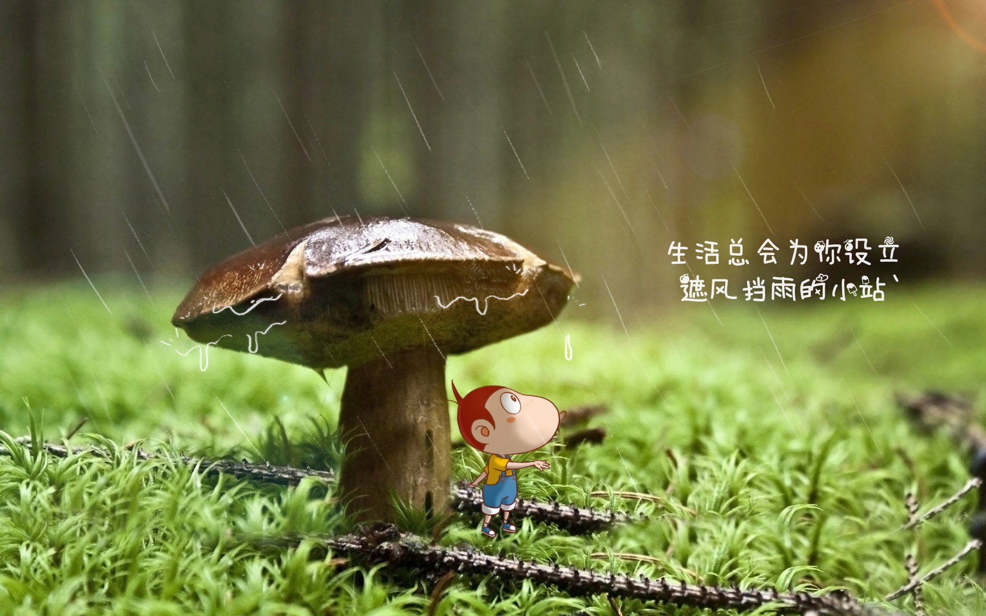 开云平台-大连一方球员展现出色表现，全力冲刺前进，大连一方球迷贴吧