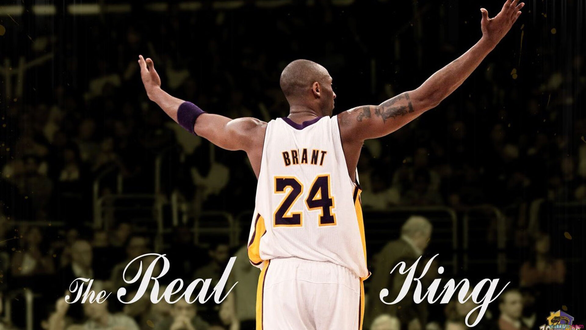 _雄鹿再创奇迹，字母哥三双制胜_，字母哥雄鹿报道视频